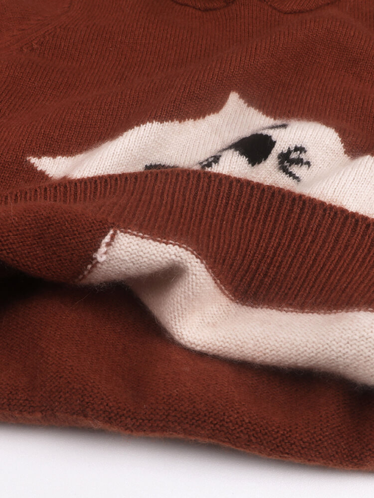 Soft Cat Graphic Cashmere Hoodie Sweater for Boys and Girls